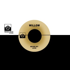 ดาวน์โหลดและฟังเพลง For You พร้อมเนื้อเพลงจาก Willow