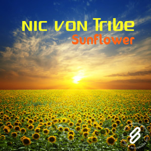 收聽Nic von Tribe的Sunflower歌詞歌曲
