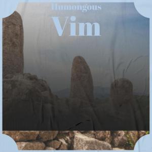 Listen to Humongous Vim song with lyrics from Sting Carlod