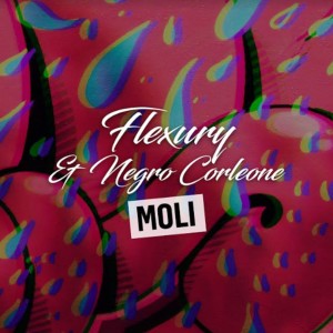 收聽Flexury的Moli歌詞歌曲