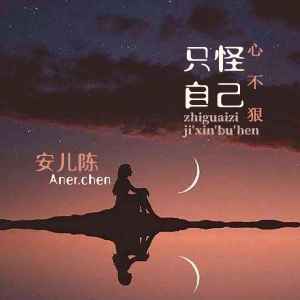 收聽安兒陳的只怪自己心不狠歌詞歌曲