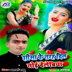 Album Shisha Ke Tara Dil Tod Delebiya oleh Arya Babu