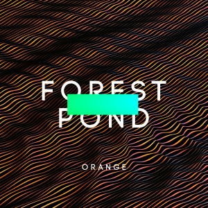 ดาวน์โหลดและฟังเพลง Orange พร้อมเนื้อเพลงจาก Forest Pond