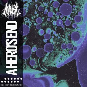 收聽No Pulse的A Hero's End歌詞歌曲