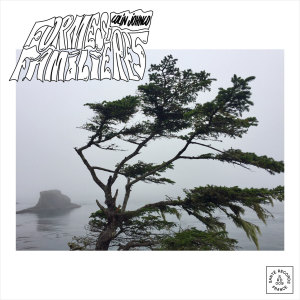 Colin Johnco的專輯Formes familières