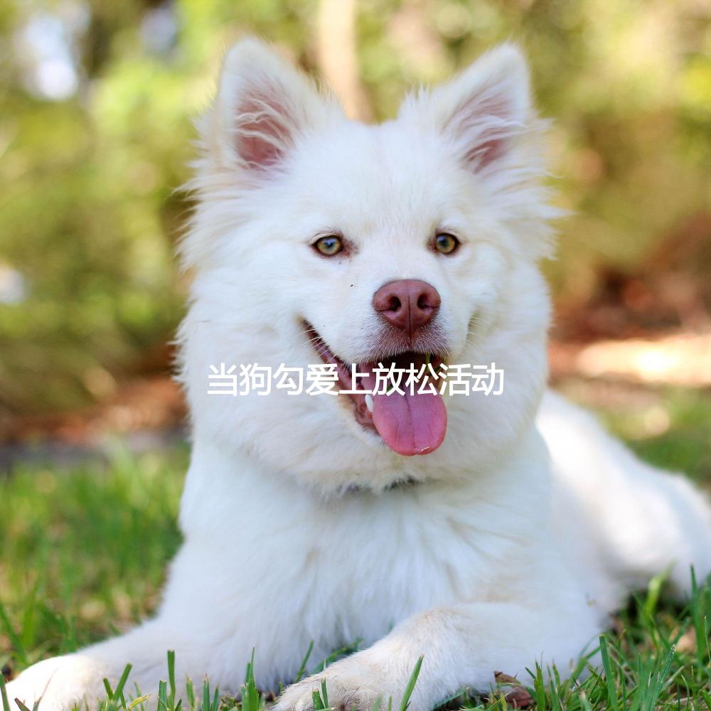 Superlative Ambiance for Chilled Pets