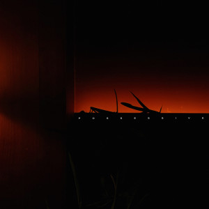 Album POSSESSIVE (占有欲) from ZIK