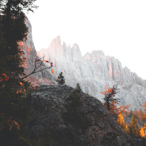 Listen to Nurture My Self song with lyrics from SPA