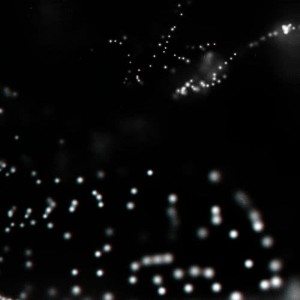收聽White Noise Sound的Never Fall歌詞歌曲