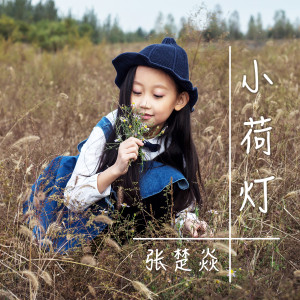 Listen to 小荷灯 (完整版) song with lyrics from 张楚焱