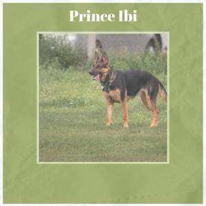 Listen to Prince Ibi song with lyrics from Hassy Smer