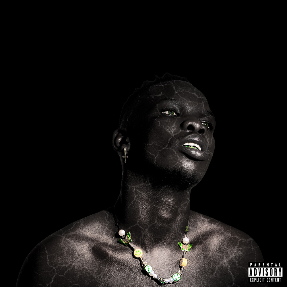 Whoa (feat. Rowlene) (Explicit)