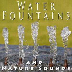 Zen Meditations from a Sleeping Buddha的專輯Water Fountains and Nature Sounds