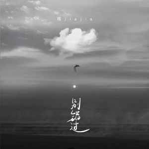 Listen to 别错过 (DJ阿卓版0.8x) song with lyrics from 程佳佳