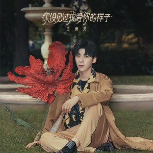 收聽王博文的你沒見過我愛你的樣子歌詞歌曲