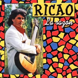 ดาวน์โหลดและฟังเพลง Pour toi พร้อมเนื้อเพลงจาก Ricao