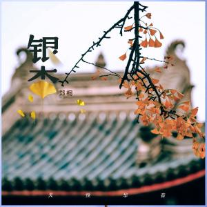 ดาวน์โหลดและฟังเพลง 银杏 (伴奏版) พร้อมเนื้อเพลงจาก 郑桐