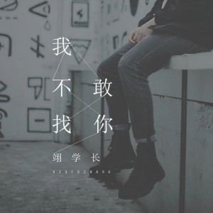 收聽偉偉的我不敢找你歌詞歌曲