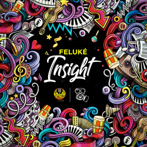 Feluke的專輯Insight