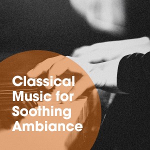 Classical Music Radio的专辑Classical Music for Soothing Ambiance