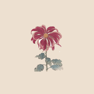 收听kakizaki yuta的バカみたいに歌词歌曲