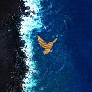 Listen to Addiction song with lyrics from Symbiøse