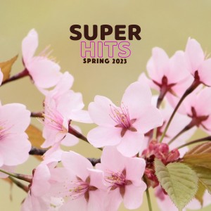 ดาวน์โหลดและฟังเพลง Il Bel Paese พร้อมเนื้อเพลงจาก Nunzio Montalbano