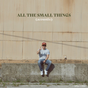 Mark Hoppus的專輯All the Small Things (Acoustic)