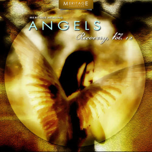 Various Artists的專輯Meritage Healing: Angels (Recovery), Vol. 12