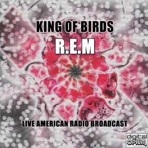 R.E.M的专辑King Of Birds (Live)