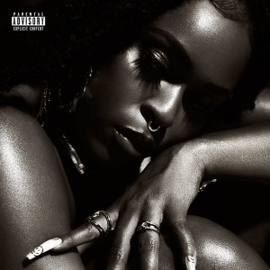 ดาวน์โหลดและฟังเพลง Switch Sides (Explicit) พร้อมเนื้อเพลงจาก Bri Steves