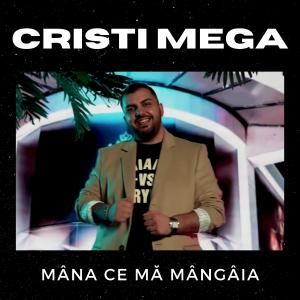 Album Mâna ce mă mângâia from CRISTI MEGA