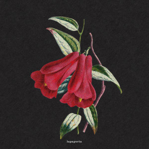 Dengarkan Flowers lagu dari boy pablo dengan lirik
