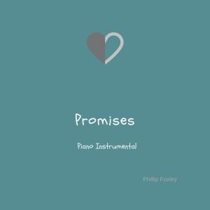 收聽Phillip Foxley的Promises (feat. Ori Schlezenger)歌詞歌曲