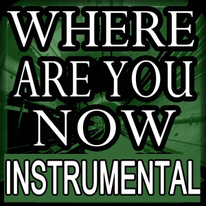 Listen to Where Are You Now (Instrumental) song with lyrics from Instrumental Music Factory