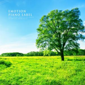 Dengarkan Like A Free Wind (Nature Ver.) lagu dari Music Train dengan lirik