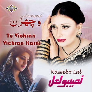 Listen to Tu Vichran Vichran Karni song with lyrics from Naseebo Lal
