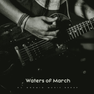 Album Waters of March (Cover Instrumental) from Nova Jazzers