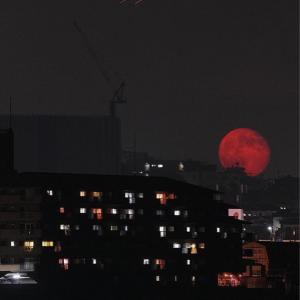 收聽Astros的Pain! (Explicit)歌詞歌曲