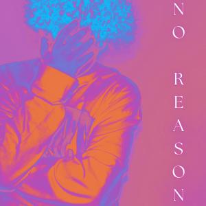 Album NO REASON (feat. cadence & ay29) from Degree