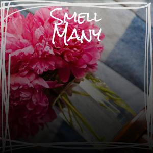 ดาวน์โหลดและฟังเพลง Deliver Whoever พร้อมเนื้อเพลงจาก Nart Heri