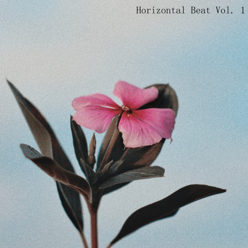 Horizontal Beat Vol.1
