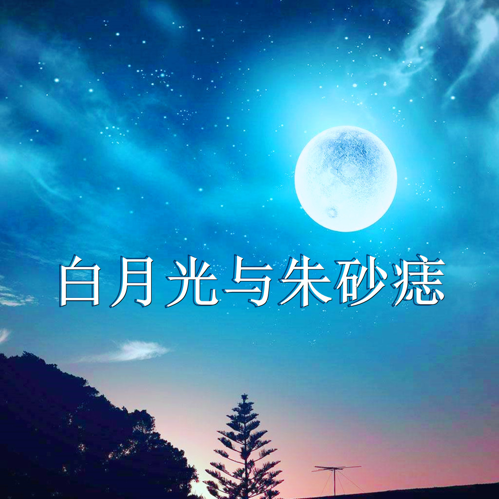 白月光與硃砂痣（DJ咚鼓版）