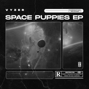 收聽Vyzer的Space Puppies (MRK Remix)歌詞歌曲