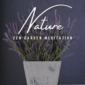Zen Garden Meditation: Earthly Serenity