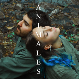 ดาวน์โหลดและฟังเพลง Animales พร้อมเนื้อเพลงจาก vosque