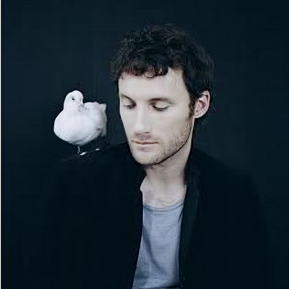 Chris Stills