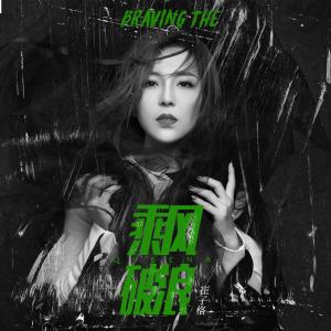 Listen to Cheng Feng Po Lang (Ban Zou) (伴奏) song with lyrics from 崔琰