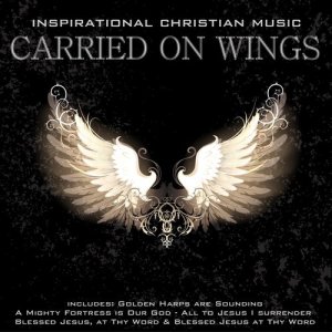 ดาวน์โหลดและฟังเพลง You Raise Me Up (其他) พร้อมเนื้อเพลงจาก Marcel Zimmer
