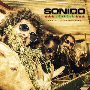 ดาวน์โหลดและฟังเพลง De Nada พร้อมเนื้อเพลงจาก Sonido Vegetal